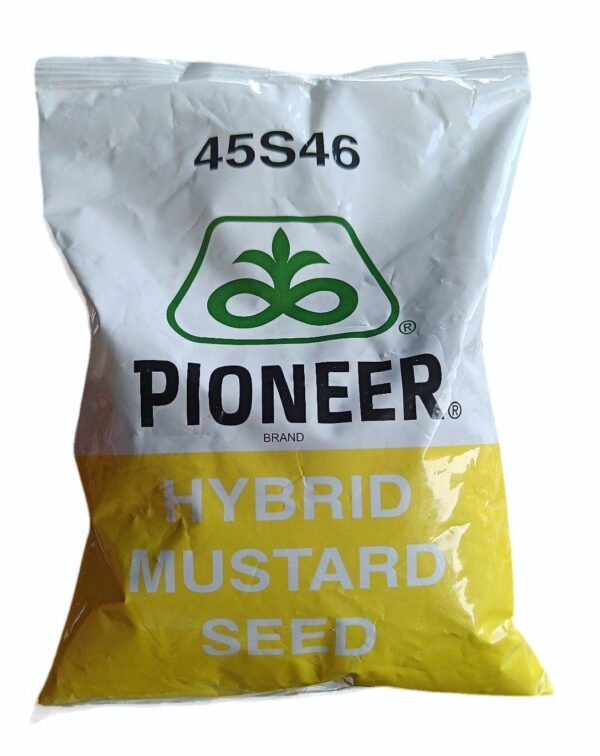 mustard 45S46